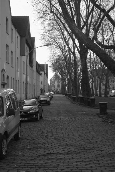 Die Siedlung