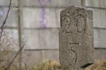 IMGP0537