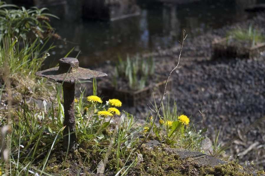 20080421_027
