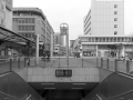 20130303-_IMG0026_600px.jpg