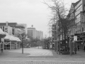 20130303-_IMG0072_600px.jpg