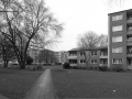 20130316-_IMG0027-125.jpg