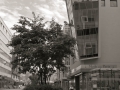20120520_IGP0062.jpg