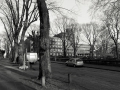 20120321_IGP0074.jpg